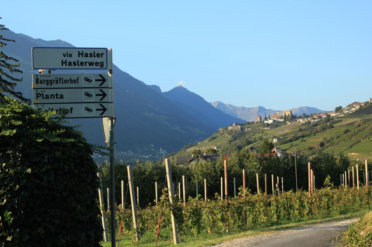 Home Suite Home Bed & Breakfast 2* Merano